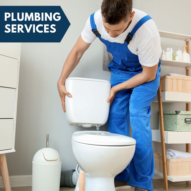 Plumbing Company in Mosherville, MI